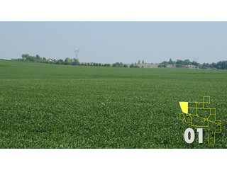 Property photo 4 - Land Auction - 3,379 Acres in 48 Tracts, 2,900 Acres Tillable, Large Contiguous Tracts - Investment Potential
